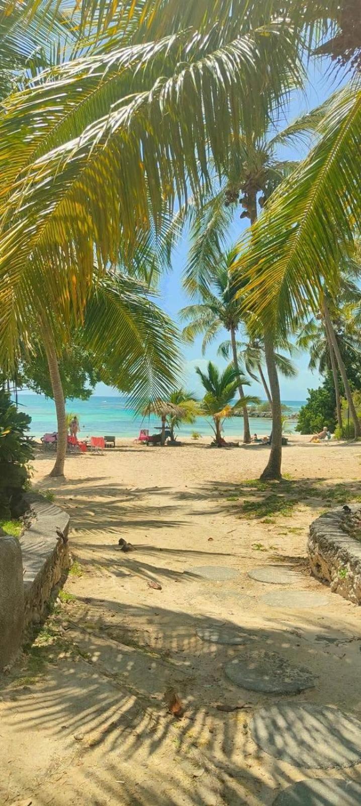 Studio Mojito Vue Mer,Piscine Avec Cuve Eau Et Acces Plage Et Piscine Anse Des Rochers Saint-Francois (Grande-Terre) Exterior foto